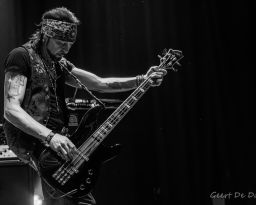 Y&T-11/10/2025