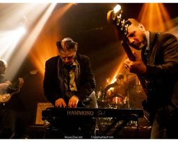 James Chance & Die Contortions - 11/03/2019