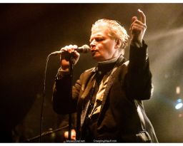 James Chance & Die Contortions - 11/03/2019