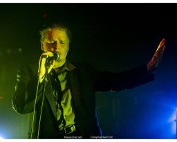 James Chance & Die Contortions - 11/03/2019