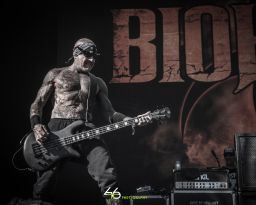 Biohazard 8/8/26
