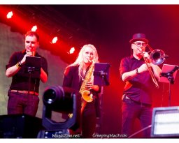 Bouke & The Elvis Matters Band