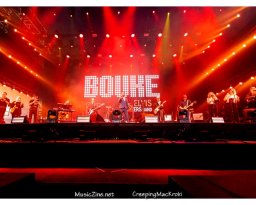 Bouke & The Elvis Matters Band