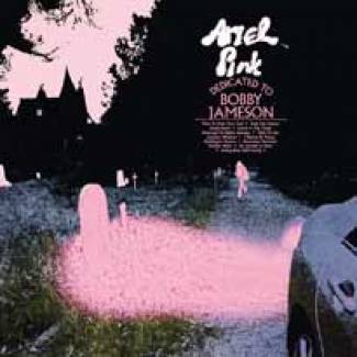 Ariel Pink Rend homage à Bobby Jameson