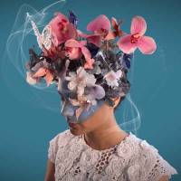 Darwin -single-