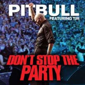 Pitbull entre chien et loup…
