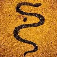Soror Dolorosa : un nouvel album qui va faire mal...