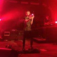Glass Animals - Vrolijke beestenboel