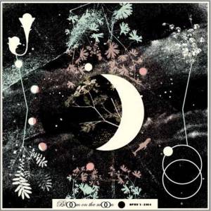 Bloom on the Moon