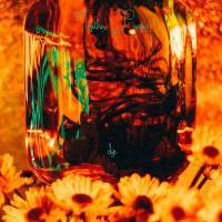 De la teinture pour Together Pangea…