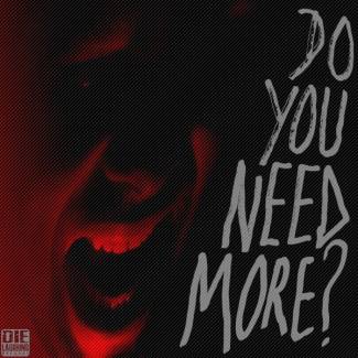 Do You Need More -single-