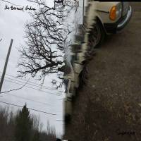 Les Lucioles de The Besnard Lakes…