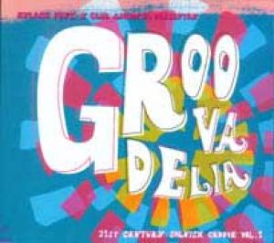 Goovadelia : 21st century spanish groove