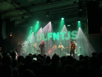 De Dolfijntjes – Hier kom je niet van een kale muzikale reis terug!