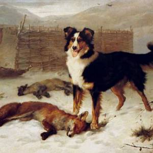 The Big Hunt