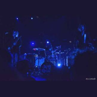 Jon Spencer Blues Explosion - Beware for the return of the original bluestrashers