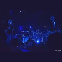 Jon Spencer Blues Explosion - Beware for the return of the original bluestrashers