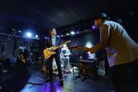 The Dream Syndicate - The Dream Syndicate v2.0 zonder bewaarmiddelen of kleurstoffen