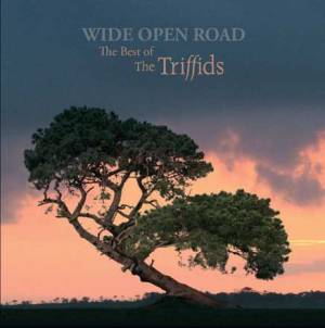 Wide Open Road