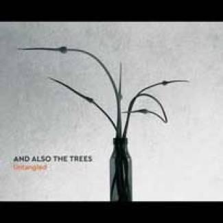 Une compile pour And also the Trees…