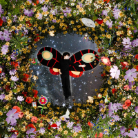 Neniu vole de ses propres ailes !