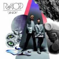 Röyksopp, un duo qui ne manque pas de charme…