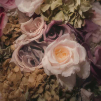 Ceremonia 