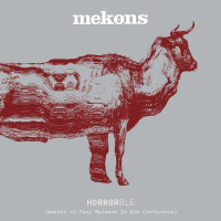 L’horreur horrible des Mekons