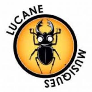 C’est la rentrée pour Lucane Musiques !