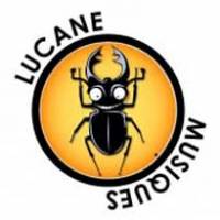 C’est la rentrée pour Lucane Musiques !