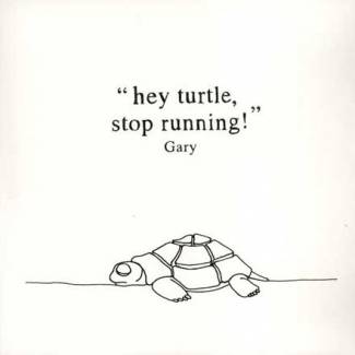 Hey Turtle, Stop Running!