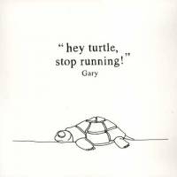 Hey Turtle, Stop Running!