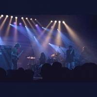 Vista Chino - Onsterfelijke stonerrock