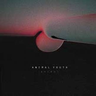Animal Youth annonce un premier album vinyle