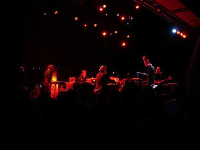 Swans - Niet voor gevoelige oortjes