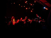 Swans - Niet voor gevoelige oortjes