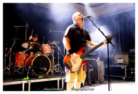 Pro-Pain – HC ‘straight into your face'!, zonder al te veel franjes