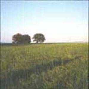 Love´s a better way to travel (single)
