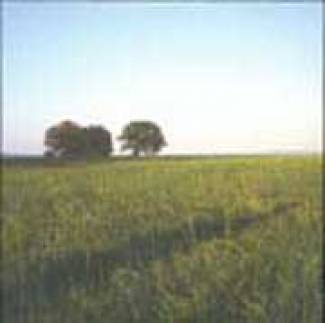 Love´s a better way to travel (single)