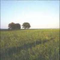 Love´s a better way to travel (single)
