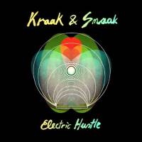 Electric Hustle