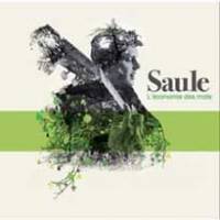 Saule au pays de Gulliver…