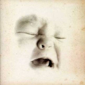 Welcome to the infant freebase