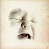 Welcome to the infant freebase