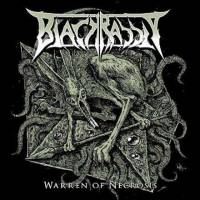 Warren Of Necrosis