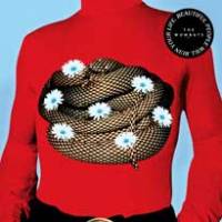 Pour The Wombats , tout ce qui brille n’est pas or