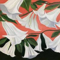 Danny George Wilson au bon endroit ?