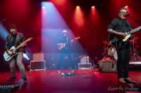 The Sheila Divine - Honingthee voor de stem, gitaren voor de ziel