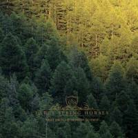 What the wood whispers to itself