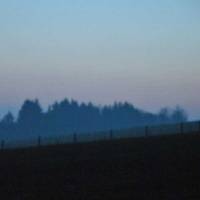 Polluted Thoughts -single-
